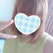 ヒメ日記 2025/07/07 02:37 投稿 カナコ(奥方) 奥様幕府