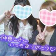 ヒメ日記 2025/07/08 23:57 投稿 カナコ(奥方) 奥様幕府