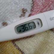 ヒメ日記 2025/07/22 09:27 投稿 カナコ(奥方) 奥様幕府