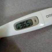 ヒメ日記 2025/07/24 13:37 投稿 カナコ(奥方) 奥様幕府