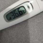 ヒメ日記 2025/07/25 14:27 投稿 カナコ(奥方) 奥様幕府