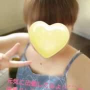 ヒメ日記 2025/07/27 14:07 投稿 カナコ(奥方) 奥様幕府