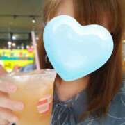 ヒメ日記 2025/07/28 03:27 投稿 カナコ(奥方) 奥様幕府