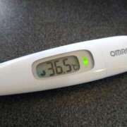 ヒメ日記 2025/07/29 12:27 投稿 カナコ(奥方) 奥様幕府