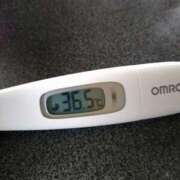 ヒメ日記 2025/07/31 12:47 投稿 カナコ(奥方) 奥様幕府