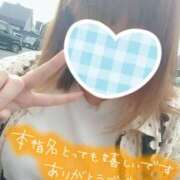 ヒメ日記 2025/08/03 22:27 投稿 カナコ(奥方) 奥様幕府