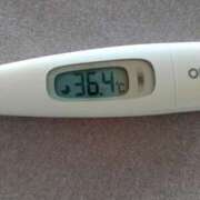 ヒメ日記 2025/08/04 12:07 投稿 カナコ(奥方) 奥様幕府