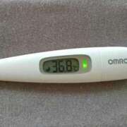 ヒメ日記 2025/08/05 12:10 投稿 カナコ(奥方) 奥様幕府