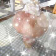 ヒメ日記 2025/08/23 18:47 投稿 カナコ(奥方) 奥様幕府