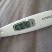 ヒメ日記 2025/08/24 11:58 投稿 カナコ(奥方) 奥様幕府