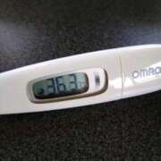 ヒメ日記 2025/08/25 13:37 投稿 カナコ(奥方) 奥様幕府