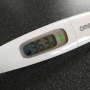 ヒメ日記 2025/08/28 12:47 投稿 カナコ(奥方) 奥様幕府