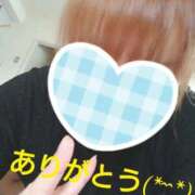 ヒメ日記 2025/08/30 21:27 投稿 カナコ(奥方) 奥様幕府