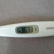 ヒメ日記 2025/09/04 11:57 投稿 カナコ(奥方) 奥様幕府