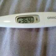 ヒメ日記 2025/09/06 11:37 投稿 カナコ(奥方) 奥様幕府