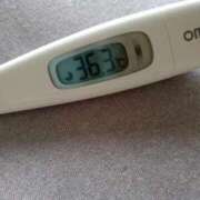 ヒメ日記 2025/09/08 11:27 投稿 カナコ(奥方) 奥様幕府