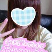 ヒメ日記 2025/09/19 01:47 投稿 カナコ(奥方) 奥様幕府