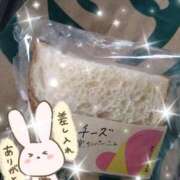 ヒメ日記 2025/09/23 14:43 投稿 カナコ(奥方) 奥様幕府