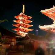 ヒメ日記 2025/09/25 22:47 投稿 カナコ(奥方) 奥様幕府