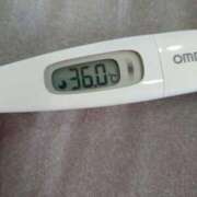 ヒメ日記 2025/09/26 13:57 投稿 カナコ(奥方) 奥様幕府