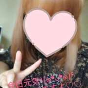 ヒメ日記 2025/09/28 13:27 投稿 カナコ(奥方) 奥様幕府