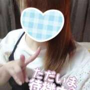 ヒメ日記 2025/09/29 17:27 投稿 カナコ(奥方) 奥様幕府