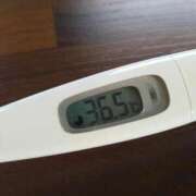 ヒメ日記 2025/10/21 12:07 投稿 カナコ(奥方) 奥様幕府