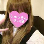 ヒメ日記 2025/10/21 12:57 投稿 カナコ(奥方) 奥様幕府