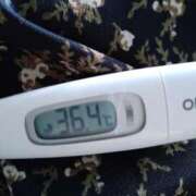 ヒメ日記 2025/10/27 12:48 投稿 カナコ(奥方) 奥様幕府