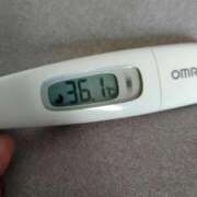 ヒメ日記 2025/11/02 12:40 投稿 カナコ(奥方) 奥様幕府