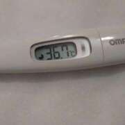 ヒメ日記 2025/11/22 08:27 投稿 カナコ(奥方) 奥様幕府