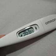 ヒメ日記 2025/11/23 12:37 投稿 カナコ(奥方) 奥様幕府