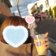 ヒメ日記 2025/12/01 16:15 投稿 カナコ(奥方) 奥様幕府