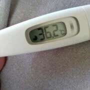 ヒメ日記 2025/12/04 11:57 投稿 カナコ(奥方) 奥様幕府