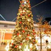 ヒメ日記 2025/12/05 22:27 投稿 カナコ(奥方) 奥様幕府