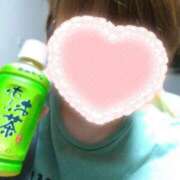 ヒメ日記 2025/12/06 20:27 投稿 カナコ(奥方) 奥様幕府