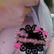 ヒメ日記 2025/12/21 02:47 投稿 カナコ(奥方) 奥様幕府