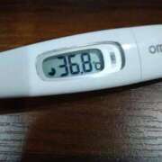 ヒメ日記 2025/12/29 12:17 投稿 カナコ(奥方) 奥様幕府