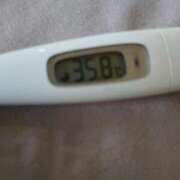 ヒメ日記 2026/02/06 13:57 投稿 カナコ(奥方) 奥様幕府