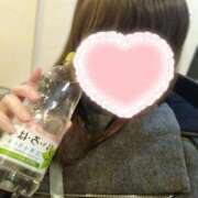 ヒメ日記 2026/02/07 22:12 投稿 カナコ(奥方) 奥様幕府