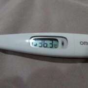 ヒメ日記 2026/02/10 14:47 投稿 カナコ(奥方) 奥様幕府