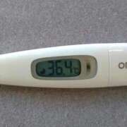 ヒメ日記 2026/02/11 14:29 投稿 カナコ(奥方) 奥様幕府