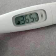 ヒメ日記 2026/02/14 15:27 投稿 カナコ(奥方) 奥様幕府