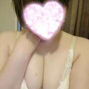 ヒメ日記 2026/02/15 20:13 投稿 カナコ(奥方) 奥様幕府