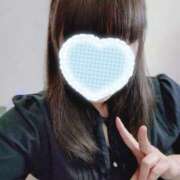 ヒメ日記 2026/03/19 11:07 投稿 カナコ(奥方) 奥様幕府