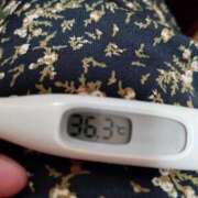 ヒメ日記 2026/03/20 12:21 投稿 カナコ(奥方) 奥様幕府