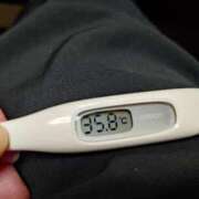 ヒメ日記 2026/03/21 09:47 投稿 カナコ(奥方) 奥様幕府