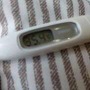 ヒメ日記 2026/03/23 13:27 投稿 カナコ(奥方) 奥様幕府