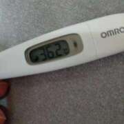 ヒメ日記 2026/03/25 13:29 投稿 カナコ(奥方) 奥様幕府