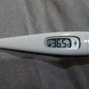 ヒメ日記 2026/03/26 13:27 投稿 カナコ(奥方) 奥様幕府